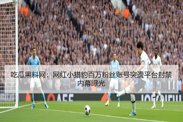 chi-gua-hei-liao-wang-wang-hong-xiao-lie-bao-bai-wan-fen-si-zhang-hao-tu-zao-ping-tai-feng-jin-nei-mu-bao-guang-2-867.jpg